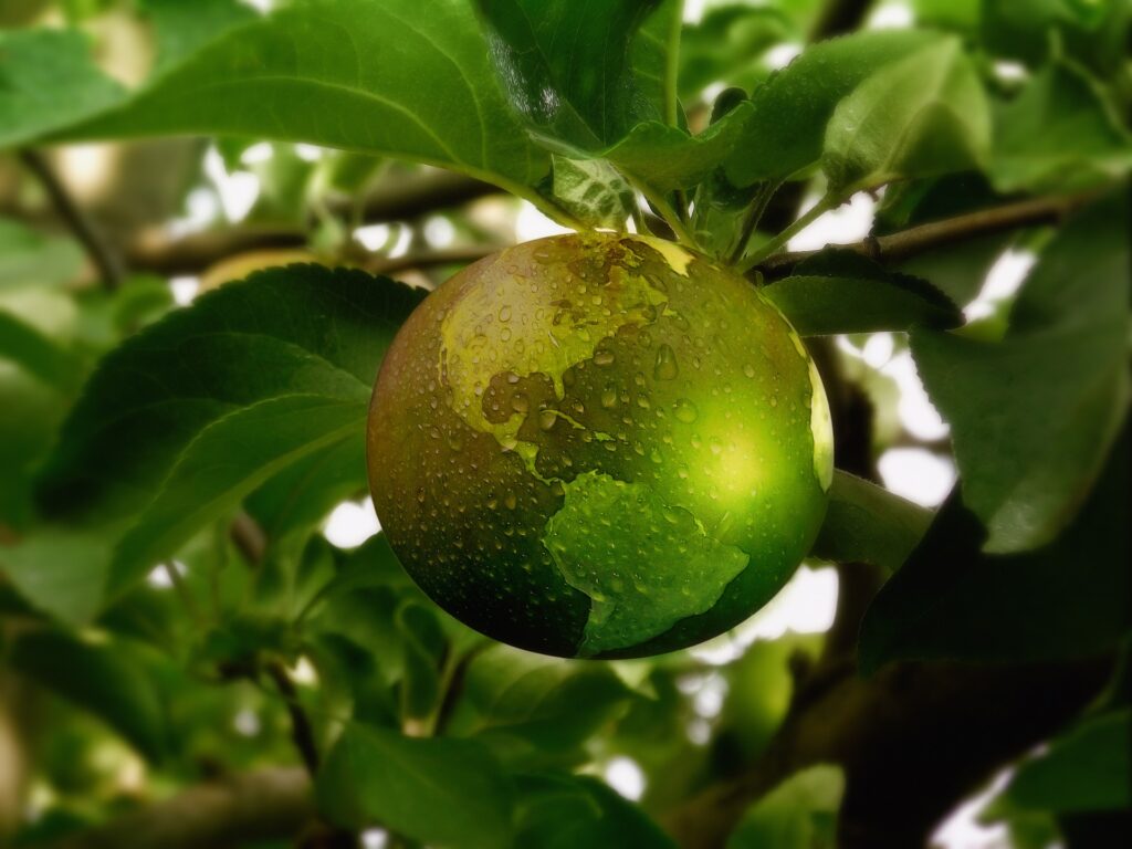 écologie